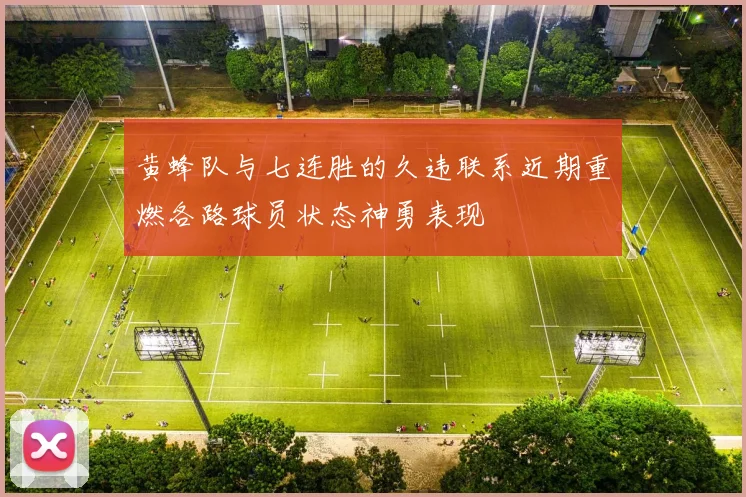 黄蜂队与七连胜的久违联系近期重燃各路球员状态神勇表现