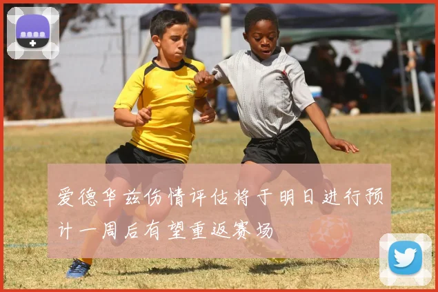 爱德华兹伤情评估将于明日进行预计一周后有望重返赛场